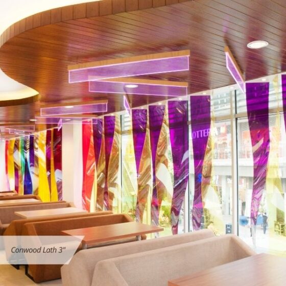 Project Solaria Grand Galaxy Park