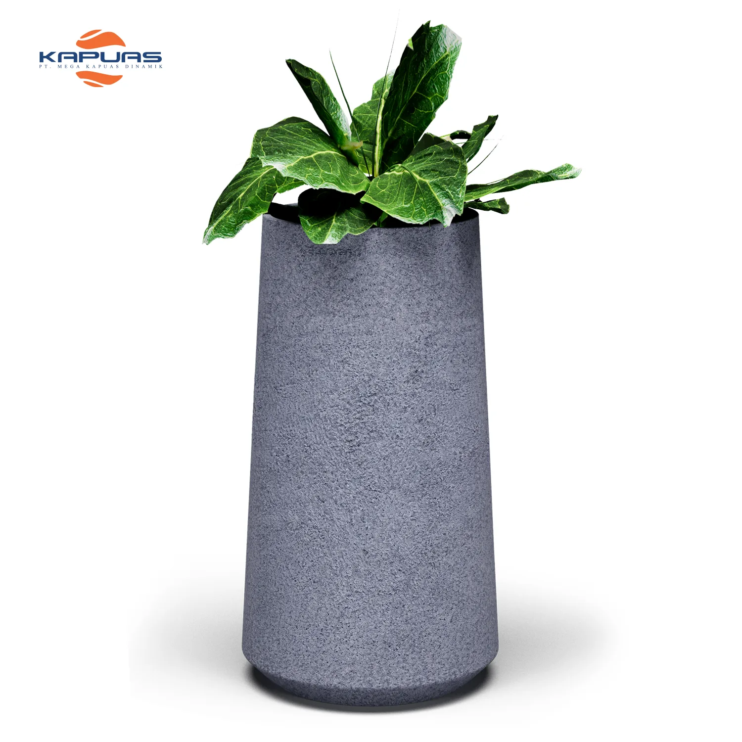 pot tanaman magnolia 90