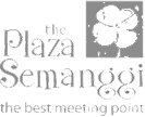 plaza semanggi logo